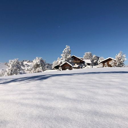 Ferienwohnung Aigisblick Mit Pool Und Sauna, Direkt Am Skihang Missen-Wilhams Exterior photo